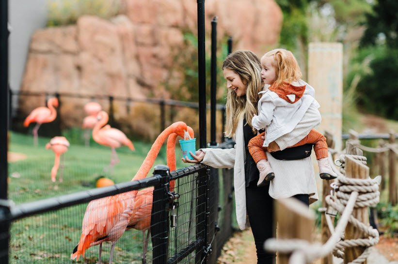 Oklahoma City Zoo and Botanical Garden, United States